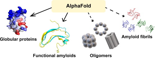Protein Folding and Conformational Diseases: “AlphaFold and the amyloid landscape”