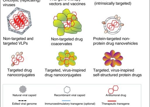 Dr. A. Villaverde: Protein-driven nanomedicines in oncotherapy