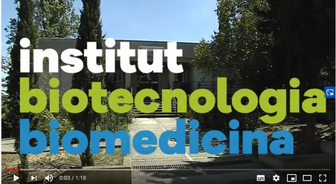 Institut de Biotecnologia i de Biomedicina (IBB)