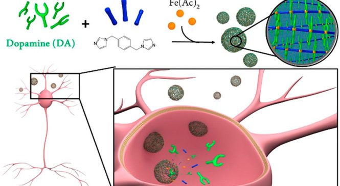 Novel nano-encapsulation approach for efficient dopamine delivery in Parkinson’s treatment
