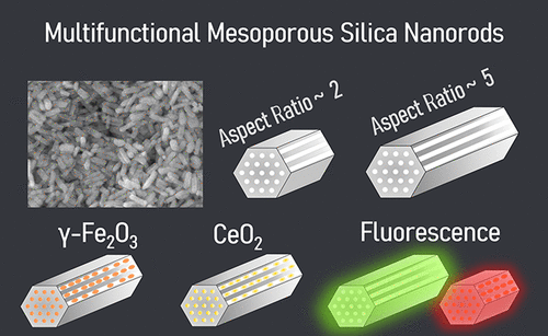 Evolutive Immunology. “Magnetic Mesoporous Silica Nanorods Loaded with Ceria and Functionalized with Fluorophores for Multimodal Imaging”