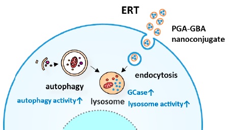 Development of new nanotechnological based Enzyme Replacement Therapy for Parkinson’s disease (NANO-ERT)