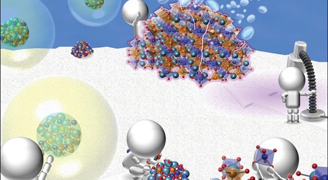 Nanobiotechnology “ERecombinant Protein-Based Nanoparticles: Elucidating Their Inflammatory Effects In Vivo and Their Potential as a New Therapeutic Formats “